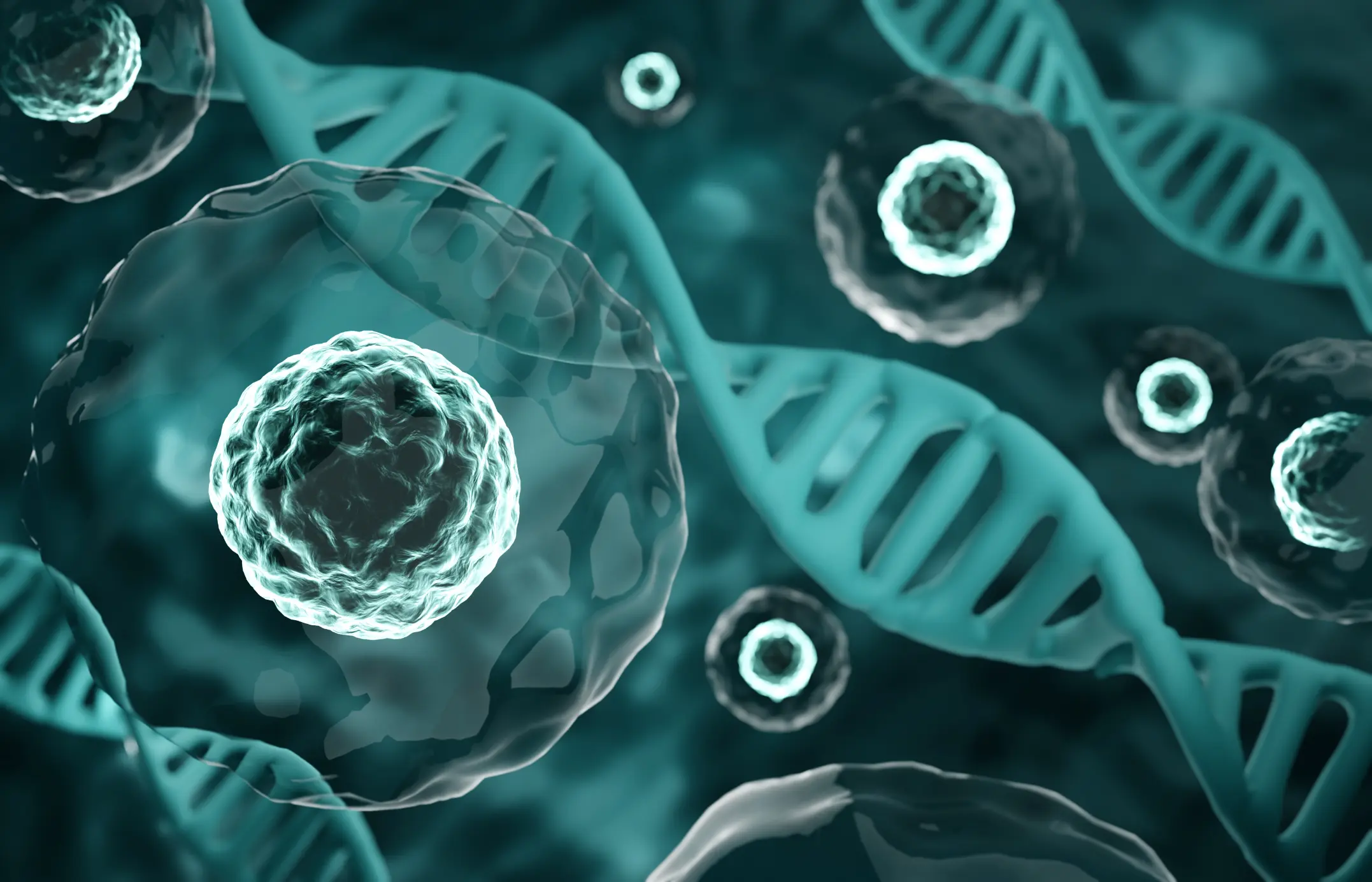 Can Stem Cell Allograft Therapy Help Your Peripheral Neuropathy?
